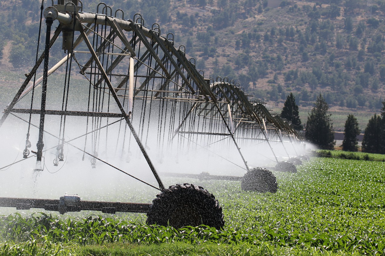irrigation-sprinklers-agriculture-6986021 irrigation, sprinklers, agriculture-6986021.jpg